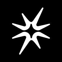 Wizard Logo